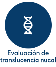 evaluacion de translucencia