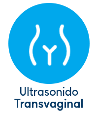 ultrasonido transvaginal