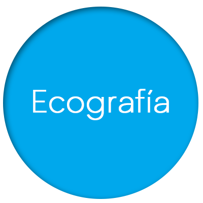 ecografia